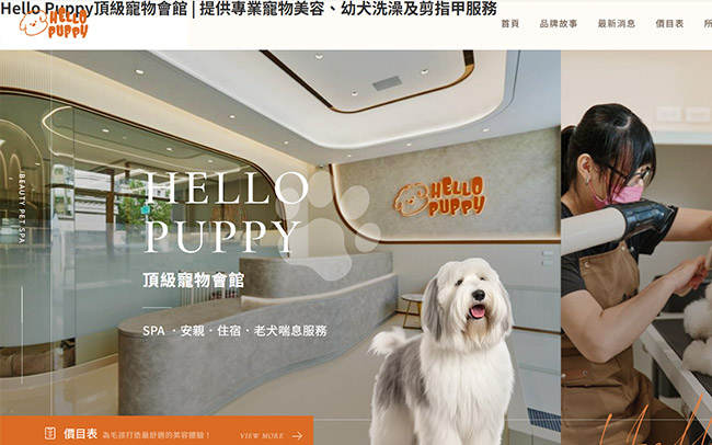 Hello Puppy Before
