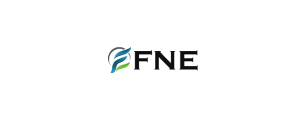 FNE-企業識別CIS